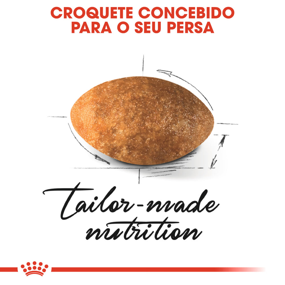 Royal Canin Gato Persian Adulto Aves de corral - Pienso seco para gato