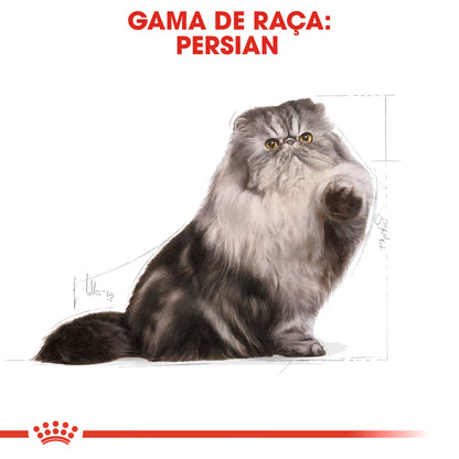 Royal Canin Gato Persian Adulto Aves de corral - Pienso seco para gato