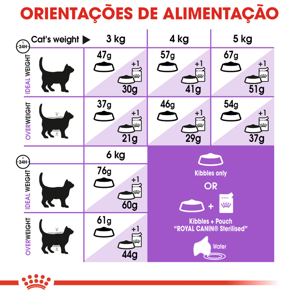 Royal Canin Gato Sterilised 37 Aves - Ração seca para gato esterilizado