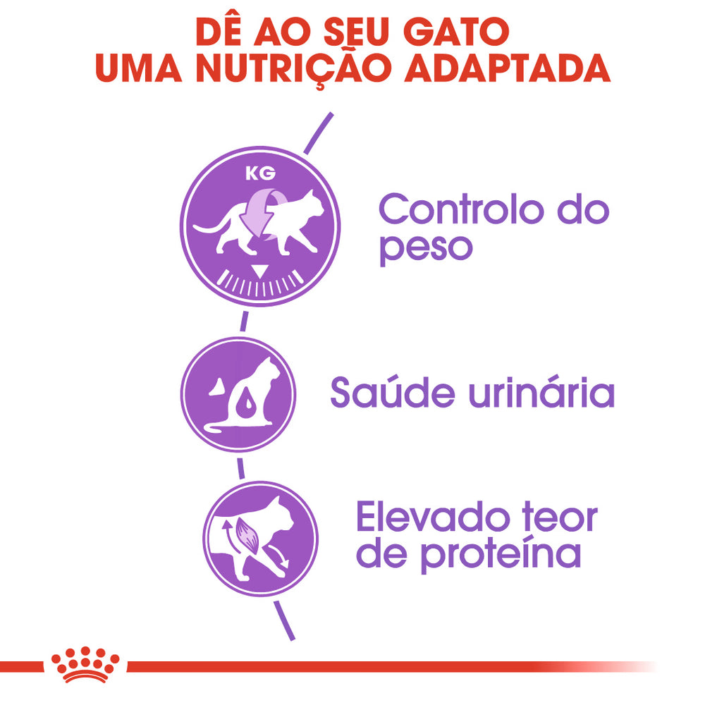 Royal Canin Gato Sterilised 37 Aves - Ração seca para gato esterilizado