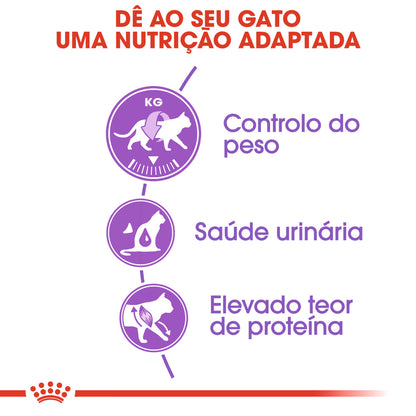 Royal Canin Gato Sterilised 37 Aves - Ração seca para gato esterilizado