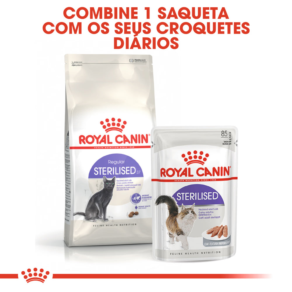 Royal Canin Gato Sterilised 37 Aves - Ração seca para gato esterilizado