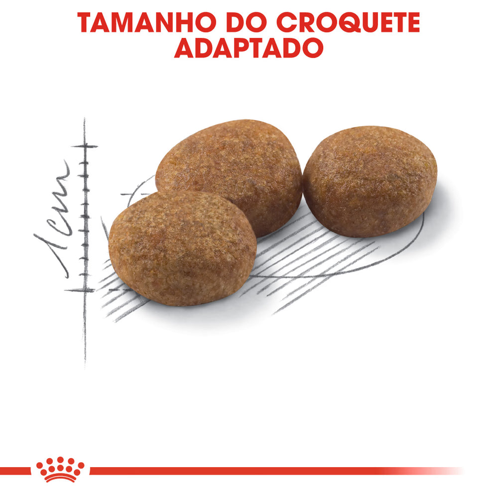 Royal Canin Gato Sterilised 37 Aves - Ração seca para gato esterilizado