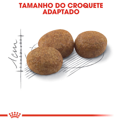 Royal Canin Gato Sterilised 37 Aves - Ração seca para gato esterilizado