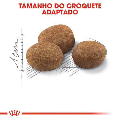 Royal Canin Gato Sterilised 7+ Aves - Ração seca para gato esterilizado