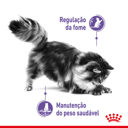 Royal Canin Gato Sterilised Appetite Control Care Aves - Ração seca para gato para controlo de peso