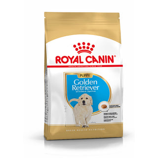 Royal Canin Golden Retriever Cachorro Perro Aves - Pienso seco para perro