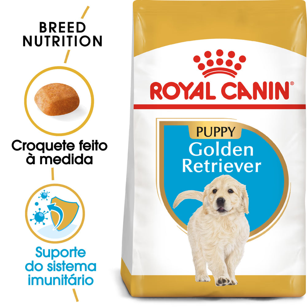 Royal Canin Golden Retriever Cachorro Perro Aves - Pienso seco para perro