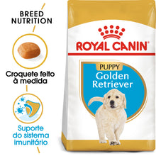 Royal Canin Golden Retriever Cachorro Cão Aves - Ração seca para cão