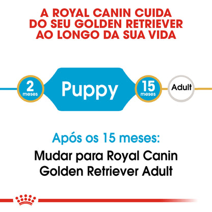 Royal Canin Golden Retriever Cachorro Perro Aves - Pienso seco para perro