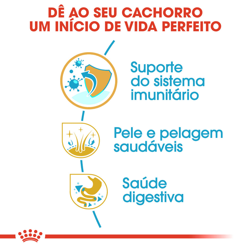 Royal Canin Golden Retriever Cachorro Perro Aves - Pienso seco para perro
