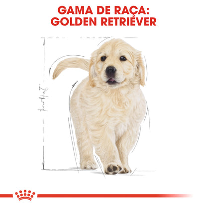 Royal Canin Golden Retriever Cachorro Perro Aves - Pienso seco para perro
