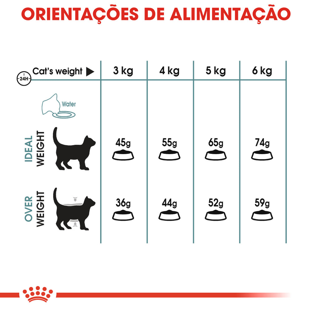 Royal Canin Hairball Care Gato Aves - Pienso seco para gato para el control de bolas de pelo