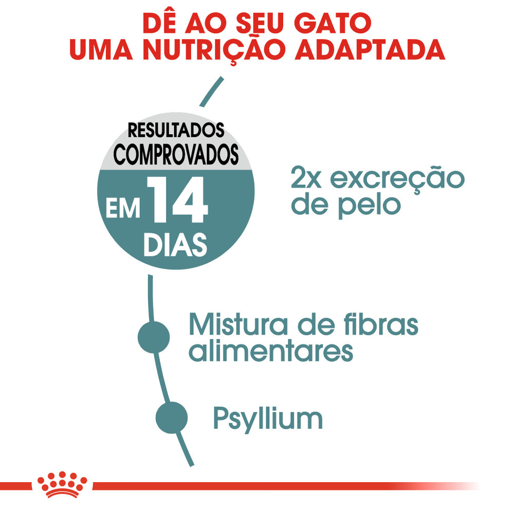 Royal Canin Hairball Care Gato Aves - Pienso seco para gato para el control de bolas de pelo