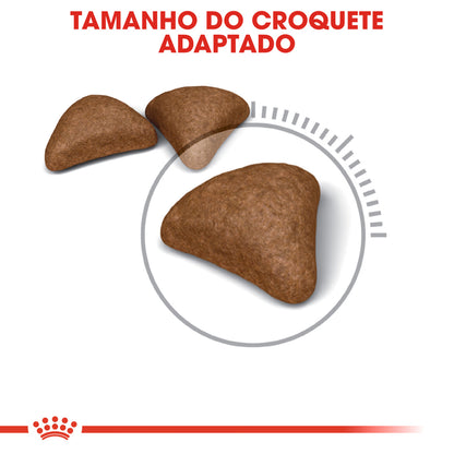 Royal Canin Hairball Care Gato Aves - Pienso seco para gato para el control de bolas de pelo