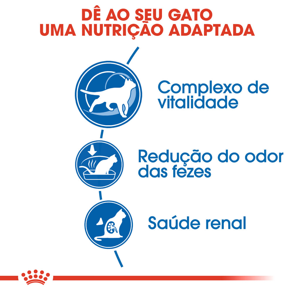 Royal Canin Indoor 7+ Gato Aves - Pienso seco para gato para control de peso