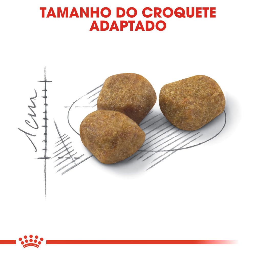 Royal Canin Indoor 7+ Gato Aves - Pienso seco para gato para control de peso