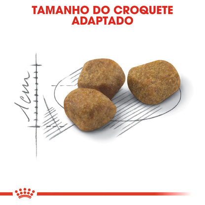 Royal Canin Indoor 7+ Gato Aves - Pienso seco para gato para control de peso