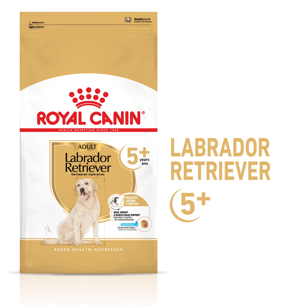 Royal Canin Labrador Ageing 5+ Cão Aves - Ração seca para cão sénior