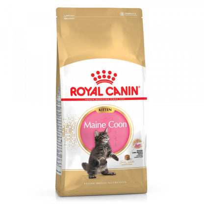 https://cdn.shopify.com/s/files/1/0916/7627/9129/files/royal-canin-maine-coon-gato-kitten.jpg?v=1774969960
