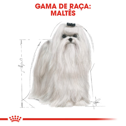 Royal Canin Maltese Adult Dog Poultry - Dry food for dogs