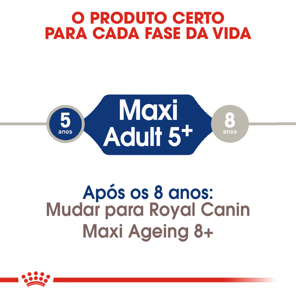 Royal Canin Maxi Adulto 5+ Perro Aves - Pienso seco para perro