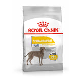 Royal Canin Maxi Dermacomfort Perro - Pienso seco para perro con piel sensible