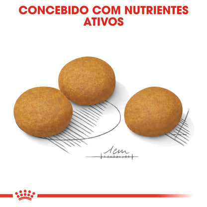 Royal Canin Maxi Dermacomfort Perro - Pienso seco para perro con piel sensible