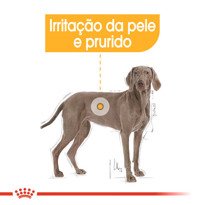 Royal Canin Maxi Dermacomfort Perro - Pienso seco para perro con piel sensible