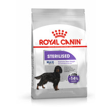 Royal Canin Maxi Sterilised Adult Dog Poultry - Dry food for sterilised dogs