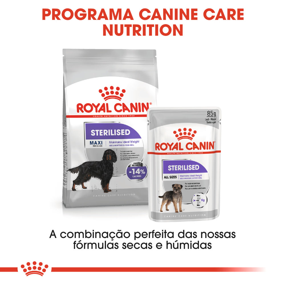 Royal Canin Maxi Sterilised Adulto Perro Aves - Pienso seco para perro esterilizado