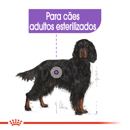 Royal Canin Maxi Sterilised Adulto Perro Aves - Pienso seco para perro esterilizado