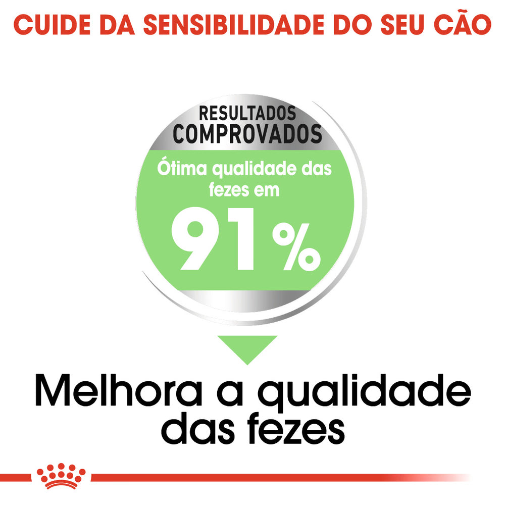 Royal Canin Medium Digestive Care Perro Aves - Pienso seco para perro con sensibilidad digestiva