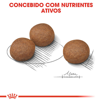 Royal Canin Medium Digestive Care Perro Aves - Pienso seco para perro con sensibilidad digestiva
