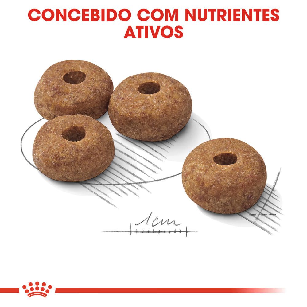 Royal Canin Medium Sterilised Dog Poultry - Dry food for sterilised dogs