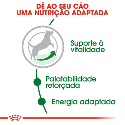 Royal Canin Mini Adulto 8+ Perro Aves - Pienso seco para perro