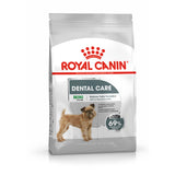 Royal Canin Mini Dental Care Cão Adulto Aves - Ração seca para cão para higiene oral