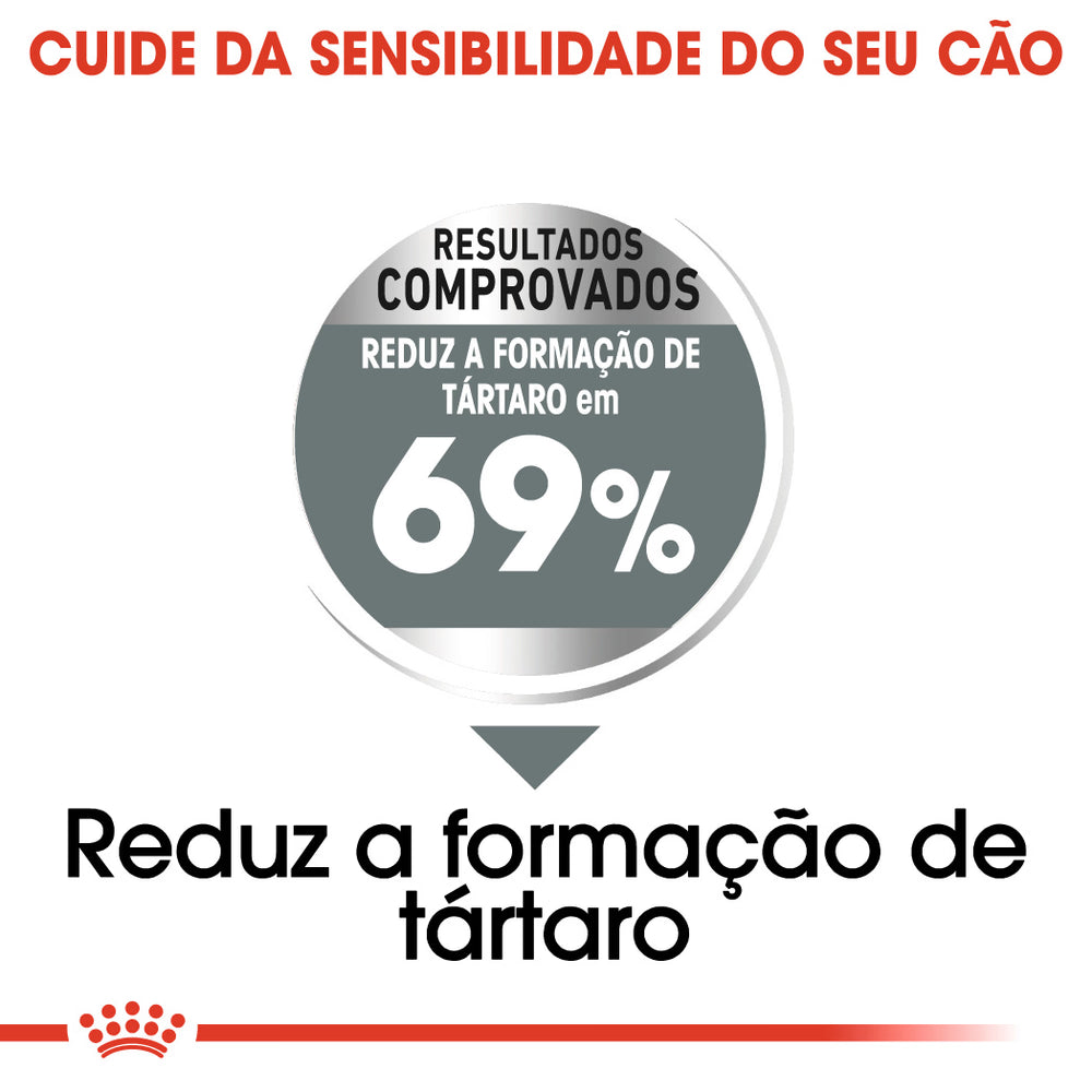 Royal Canin Mini Dental Care Cão Adulto Aves - Ração seca para cão para higiene oral
