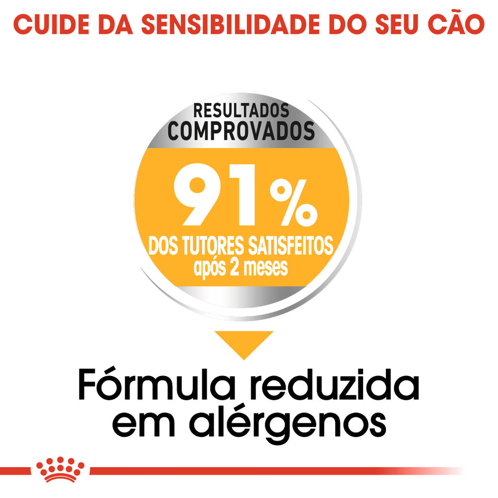 Royal Canin Mini Dermacomfort Cão - Ração seca para cão com pele sensível