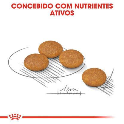 Royal Canin Mini Dermacomfort Cão - Ração seca para cão com pele sensível