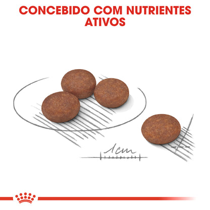 Royal Canin Mini Digestive Care Dog Poultry - Dry dog food for healthy digestion