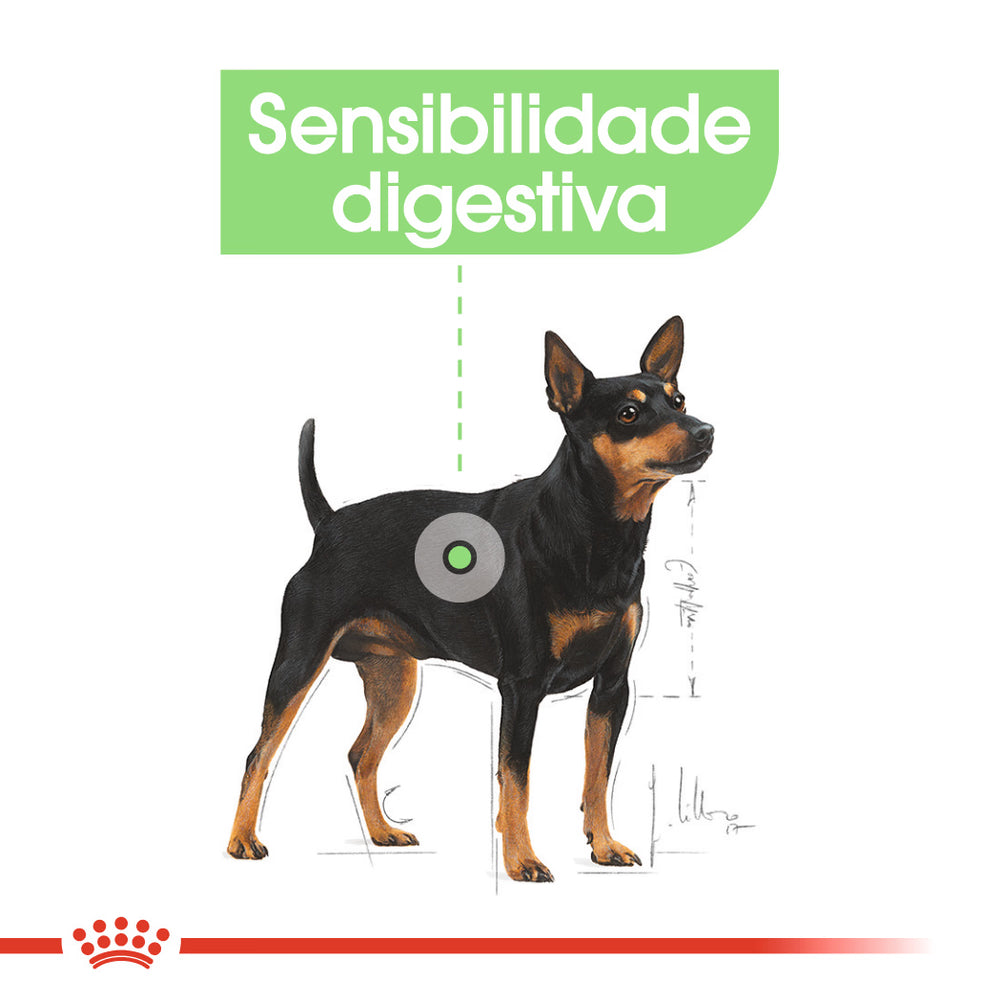 Royal Canin Mini Digestive Care Dog Poultry - Dry dog food for healthy digestion