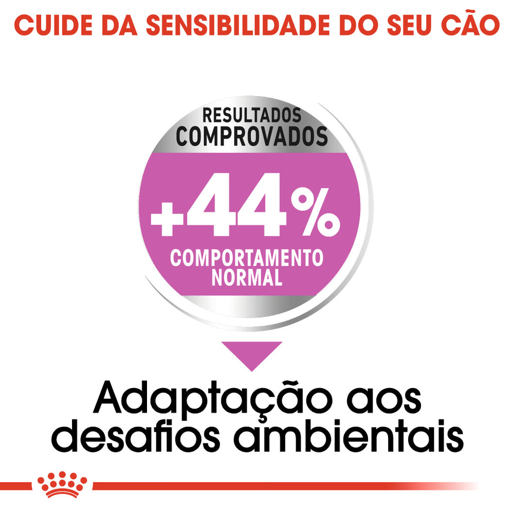 Royal Canin Mini Relax Care Cão - Ração seca para cão com aves