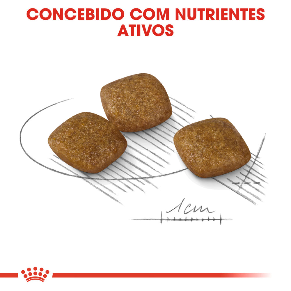 Royal Canin Mini Relax Care Cão - Ração seca para cão com aves