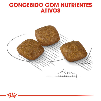 Royal Canin Mini Relax Care Cão - Ração seca para cão com aves