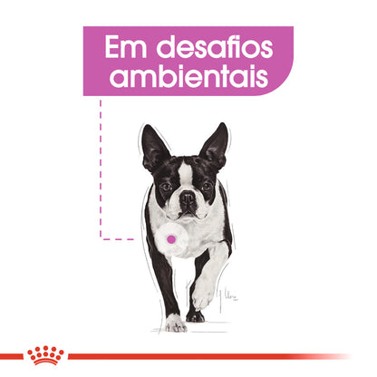 Royal Canin Mini Relax Care Cão - Ração seca para cão com aves
