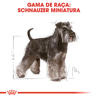 Royal Canin Miniature Schnauzer Adulto Perro Aves - Pienso seco para perro
