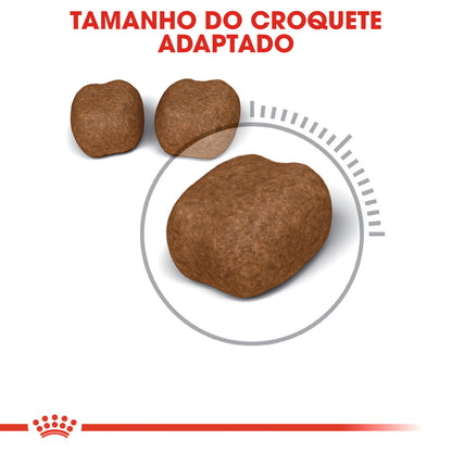 Royal Canin Oral Care Cat Poultry - Dry food for cats for oral hygiene