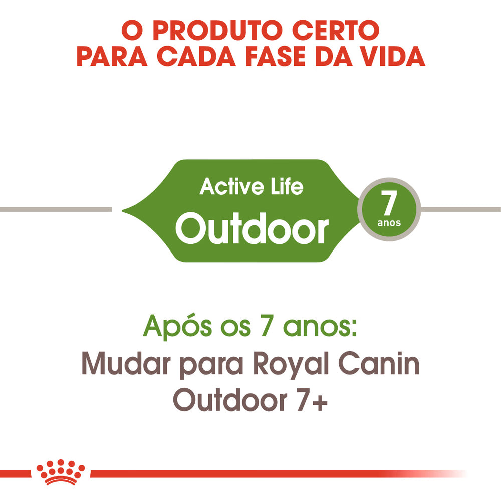 Royal Canin Outdoor Gato Aves de capoeira - Ração seca para gato