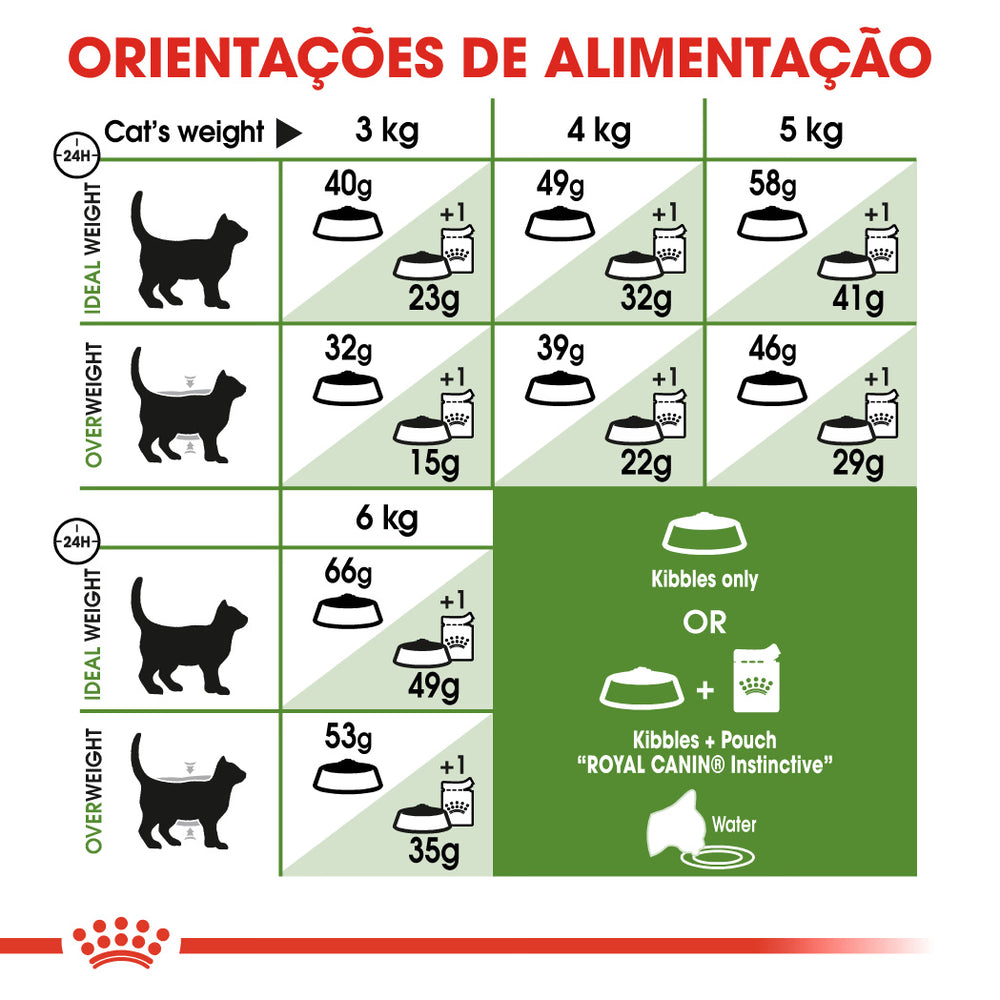 Royal Canin Outdoor Gato Aves de capoeira - Ração seca para gato